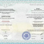 Диплом 2