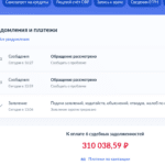 Судебные задолженности